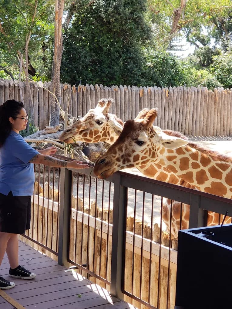 Sacramento Zoo